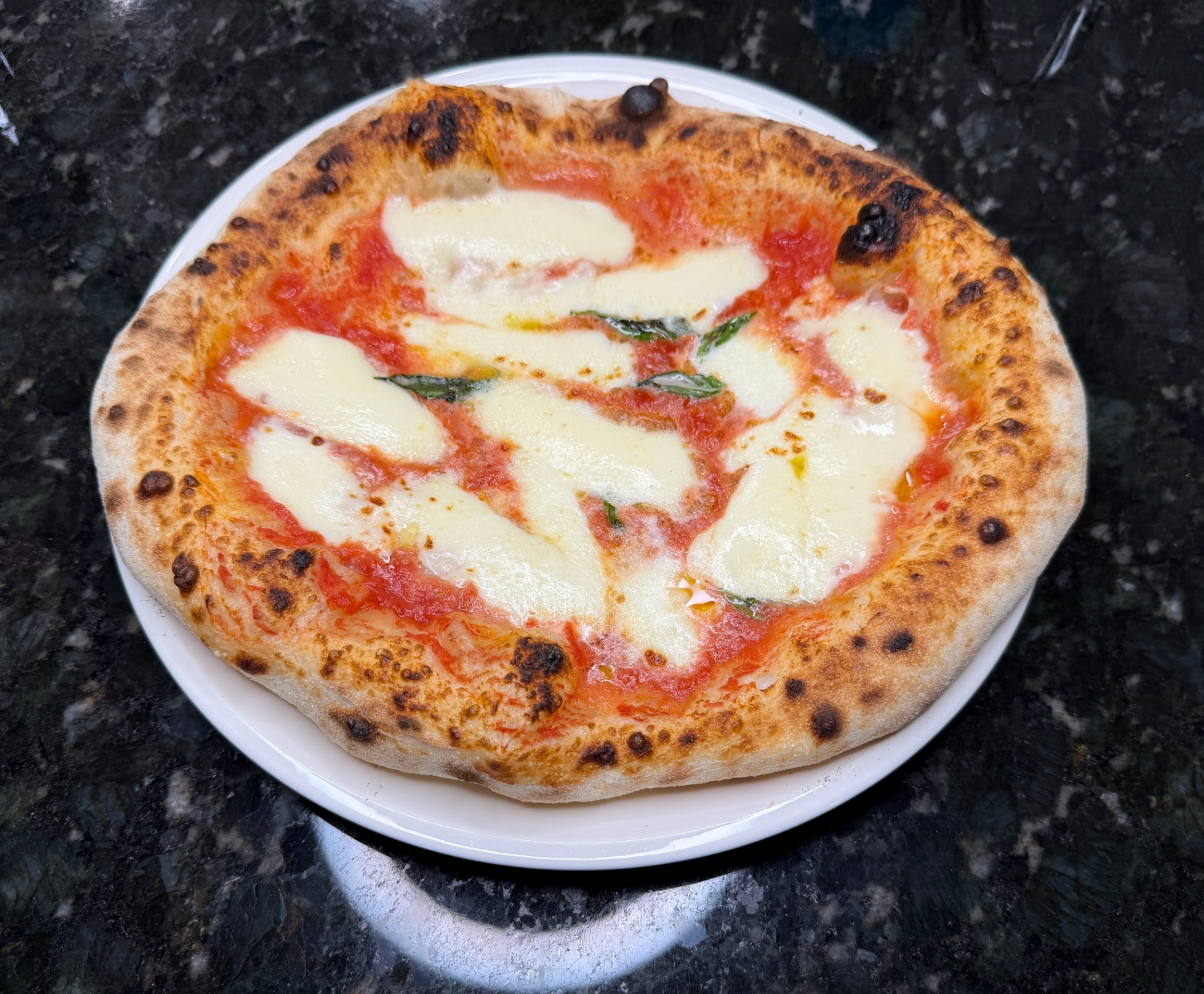 A Neapolitan margherita pizza baked in a home oven, leopard-spotted crust and fresh mozzarella